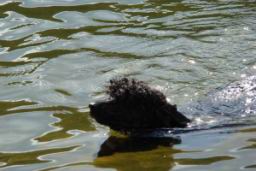 Resize of DSC00787.JPG